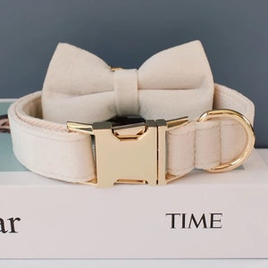 Personalized Dog Collar and Leash Set- Engraved, Handmade, Small to Large Dogs, Gift for Pets - Velvet Cream