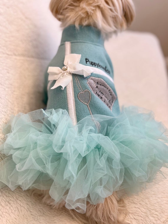 Sniffany and Company Pet Dress for Special Occasions, Tiffany Blue