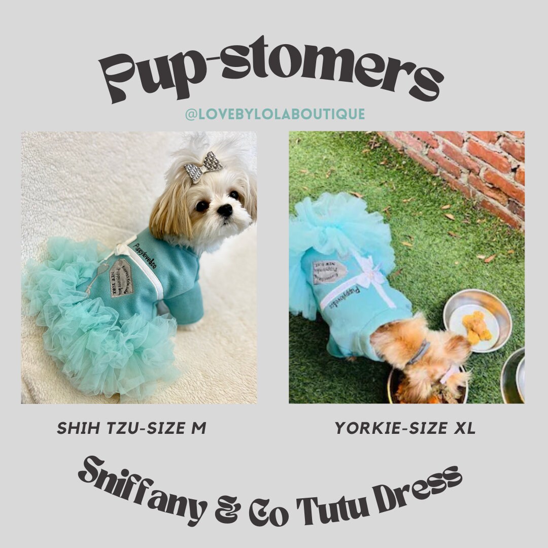 Sniffany and Company Pet Dress for Special Occasions, Tiffany Blue