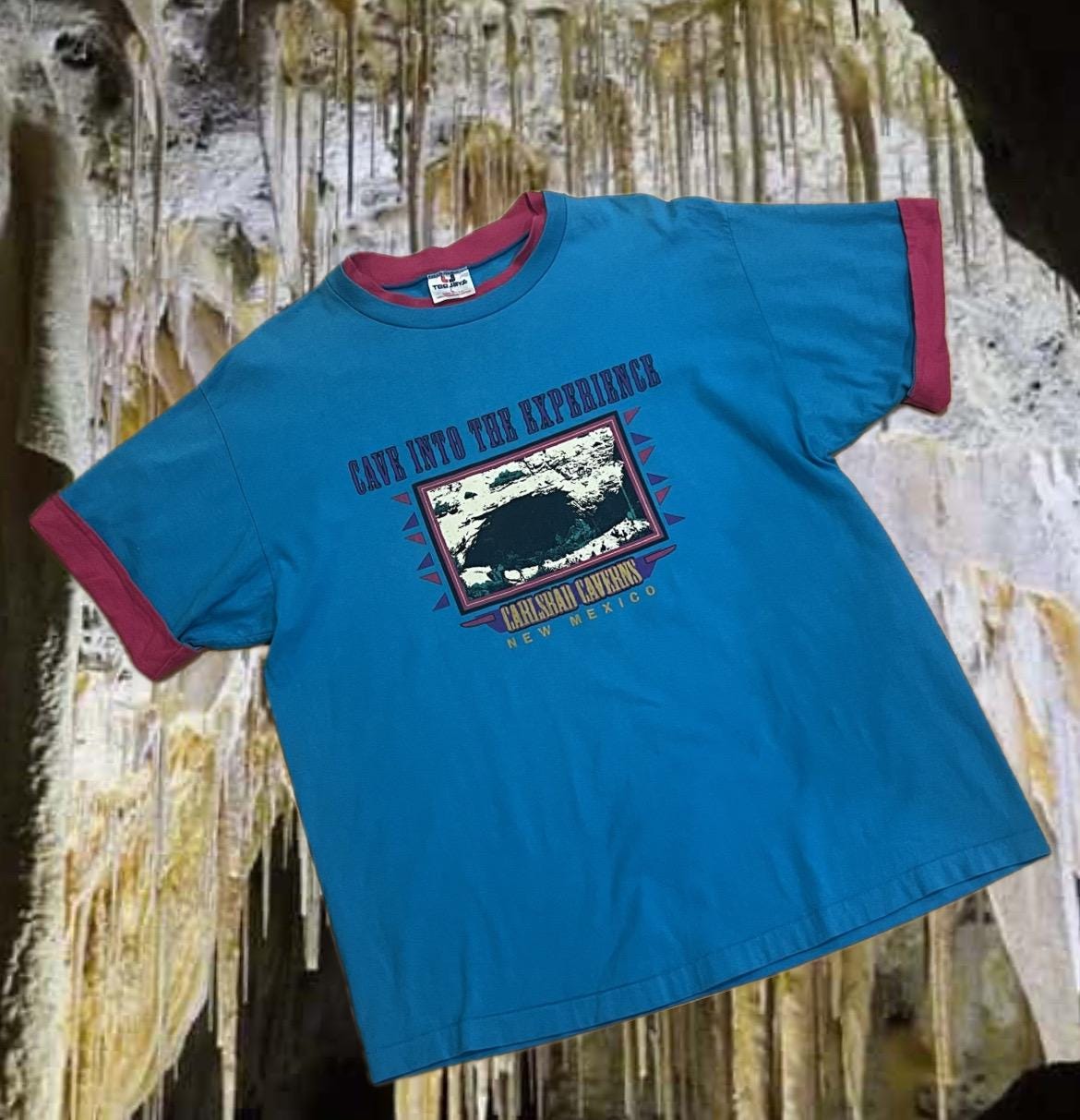 90s Carlsbad Cavern New Mexico Novelty tee with contrast sleeve and neck detail super cute! gently worn / size: Large / lots of personality