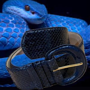 80s Saks Fifth Avenue Genuine Snakeskin Belt – Large (28–32” Waist) – 2” Wide – Electric Blue - Exotic high End Belt - Gently Worn