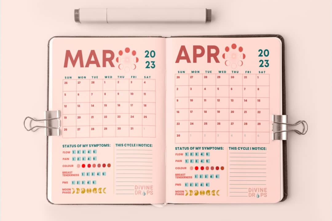Period Tracker Printable Digital Period Journal Year Cycle Calendar PDF