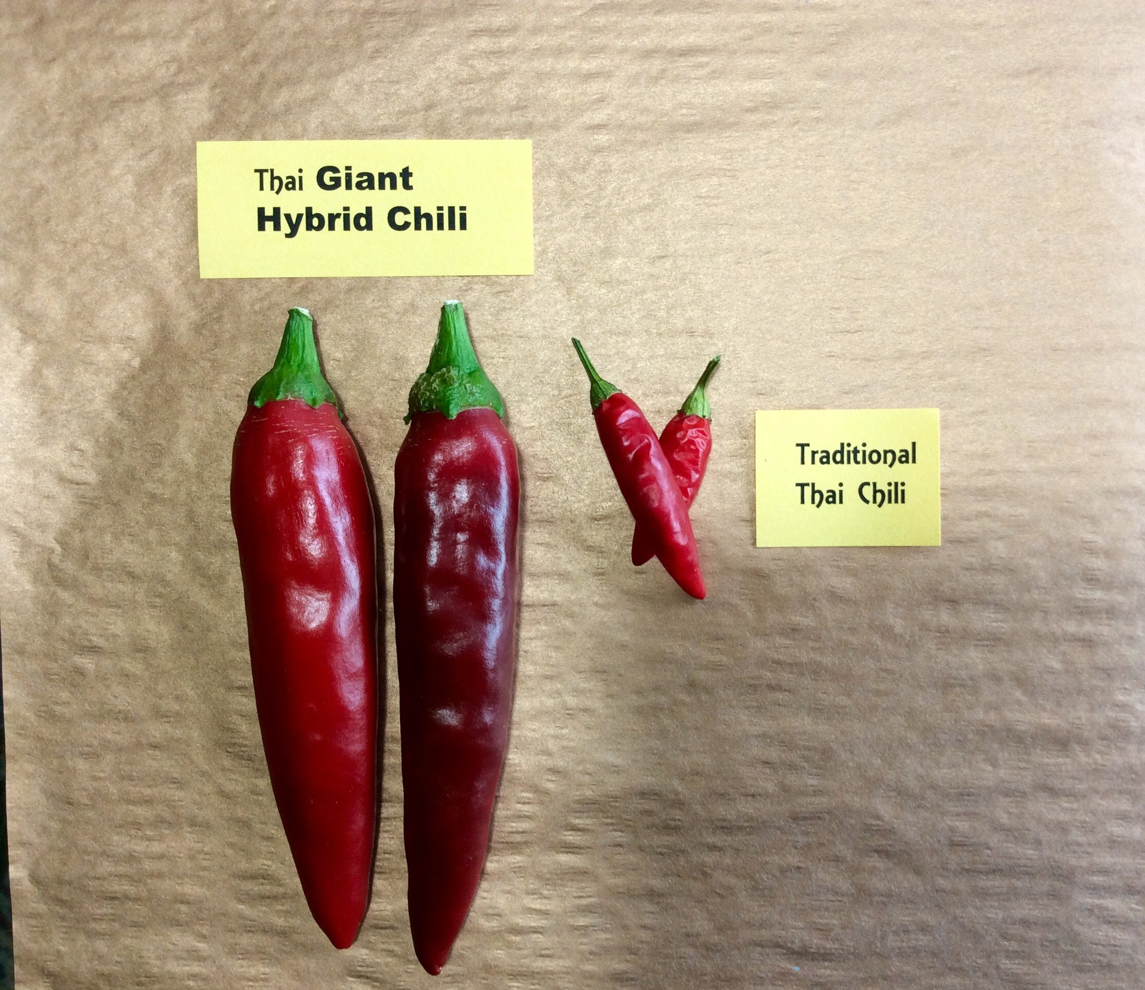 Thai chili cheap