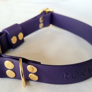 Custom Biothane waterproof durable dog collar