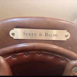 SADDLE NAME Plate, SILVER Custom Engraved, Made to Order