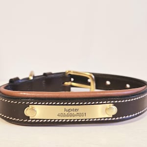 Leather Padded Dog Collar, High Quality GENUINE, Customize