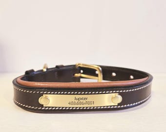 Collare per cani imbottito in pelle: placca in ottone personalizzata, prodotto negli Stati Uniti.