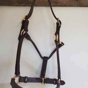 May include: A brown leather horse halter with gold fittings. The halter has a padded noseband and a throatlatch.