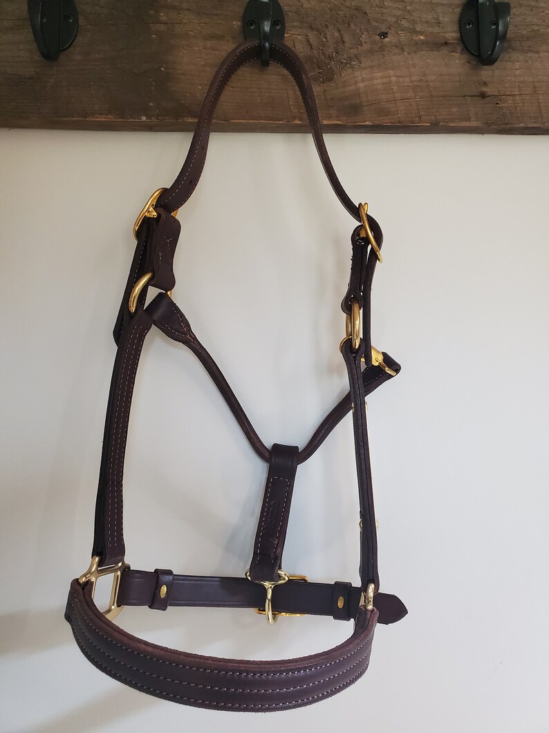 May include: A brown leather horse halter with gold fittings. The halter has a padded noseband and a throatlatch.