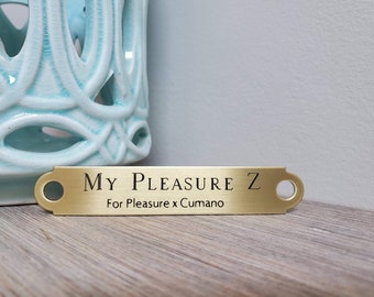 HALTER PLATE Medium BRASS, Equine, Custom Engraved, Solid, Made to Order