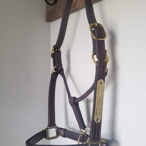 Triple Stitched LEATHER HORSE HALTER with Engraved Plate, Made to order