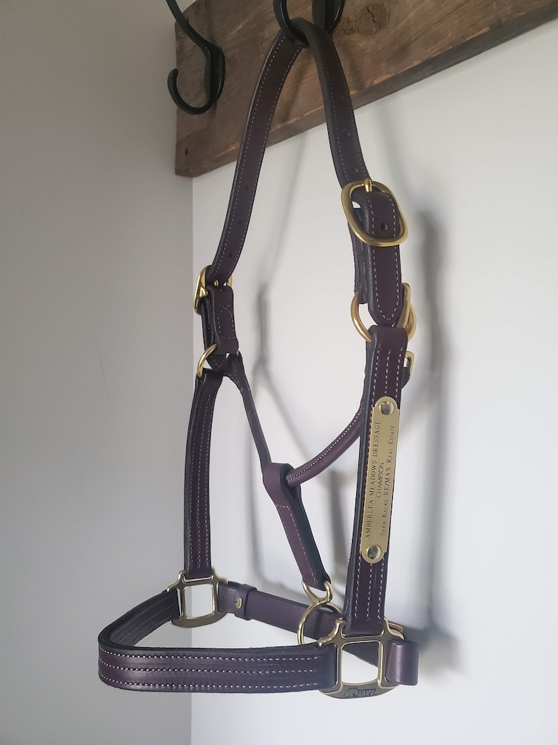 May include: A dark brown leather horse halter with brass hardware and a personalised nameplate that reads "AMBERLYA MEADOWS DRESSAGE CHAMPION  SUZANNA K. REAL ESTATE  647-847-1477".