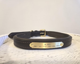 Collare per cani imbottito in pelle Martin's Saddlery: placca in ottone personalizzata, prodotto in CANADA
