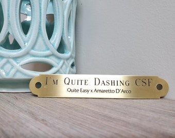 PIASTRA PER CAVIGLIA Lg, estremità in ottone fantasia 4,5''x3/4'' Equine, incisa personalizzata, solida, realizzata su ordinazione