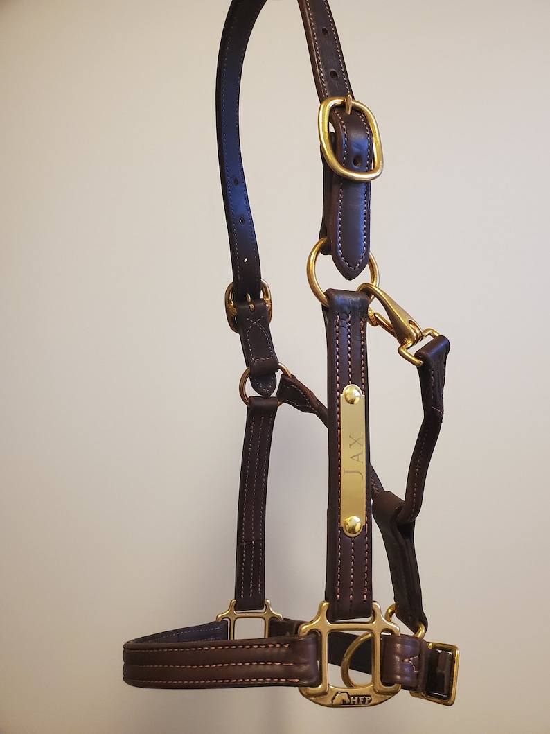 May include: A brown leather horse halter with a brass buckle and a brass nameplate that says "JAX".