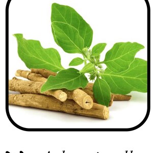 May include: An image of ashwagandha, featuring green leaves and brown roots. The text "Ashwagandha" and "Withania somnifera" is displayed at the bottom of the image. The leaves are a vibrant green, and the roots are a light brown color.