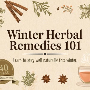 Remedios herbales de invierno 101 — Curso en línea
