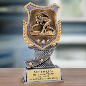 May include: A gold and silver wrestling trophy with a shield-shaped top featuring two wrestlers. The base has a black and gold ribbon with stars and the text "BRETT WILSON 135 LB WEIGHT CLASS 3RD PLACE AUGUSTA SECTIONALS 2025".