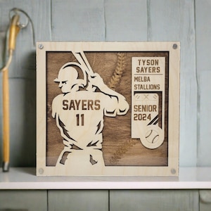 Personalized Baseball Gift Plaque , 3D Baseball Sign, Baseball Senior Gift, Custom Baseball Sign, Baseball Player, Baseball Season Gift