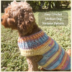 Może przedstawiać: Brązowy i biały pies w wielokolorowym dzianym swetrze dla psa. Sweter ma pasy w kolorze niebieskim, żółtym i pomarańczowym. Tekst "Easy Crochet Medium Dog Sweater Pattern" jest napisany na jasnoniebieskim tle białym kolorem.