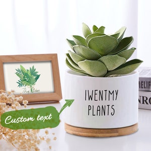 Może przedstawiać: Biała ceramiczna doniczka z drewnianą podstawą. Doniczka ma napis "I WENT MY PLANTS". W doniczce znajduje się zielona roślina sukulentowa.