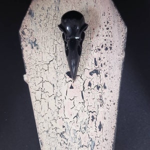 May include: A black crow skull is mounted on a white wooden coffin-shaped plaque. The plaque has a distressed, aged look with black and pink paint.