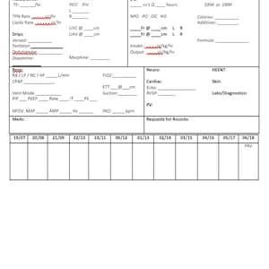 NICU Nursing Report Sheet (High Acuity)