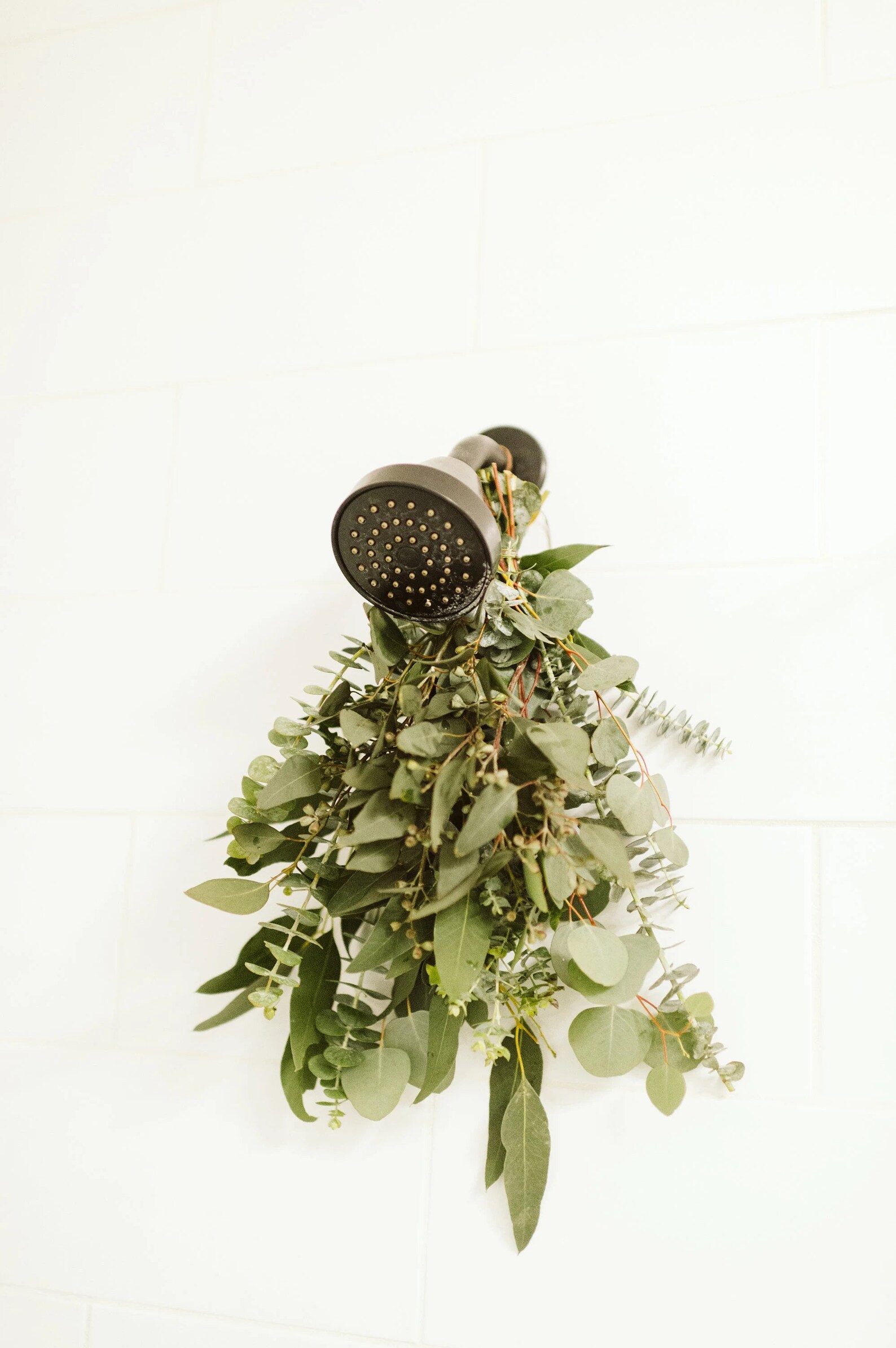 Fresh Shower Eucalyptus Bundle Shower Bouquet Shower Spa Etsy UK