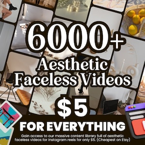 Más de 6000 carretes de vídeo estéticos Boss Babe Story Master Derechos de reventa MRR y derechos de etiqueta privada PLR DFY Plantillas de Instagram Comercializador digital