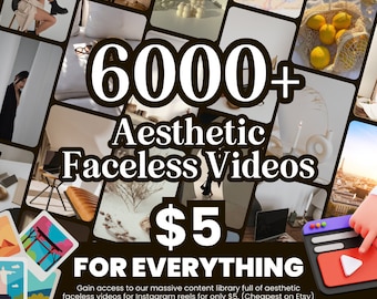 6000+ Aesthetic Video Reels Boss Babe Story Master Resell Rights MRR & Private Label Rights PLR DFY Instagram Templates Digital Marketer