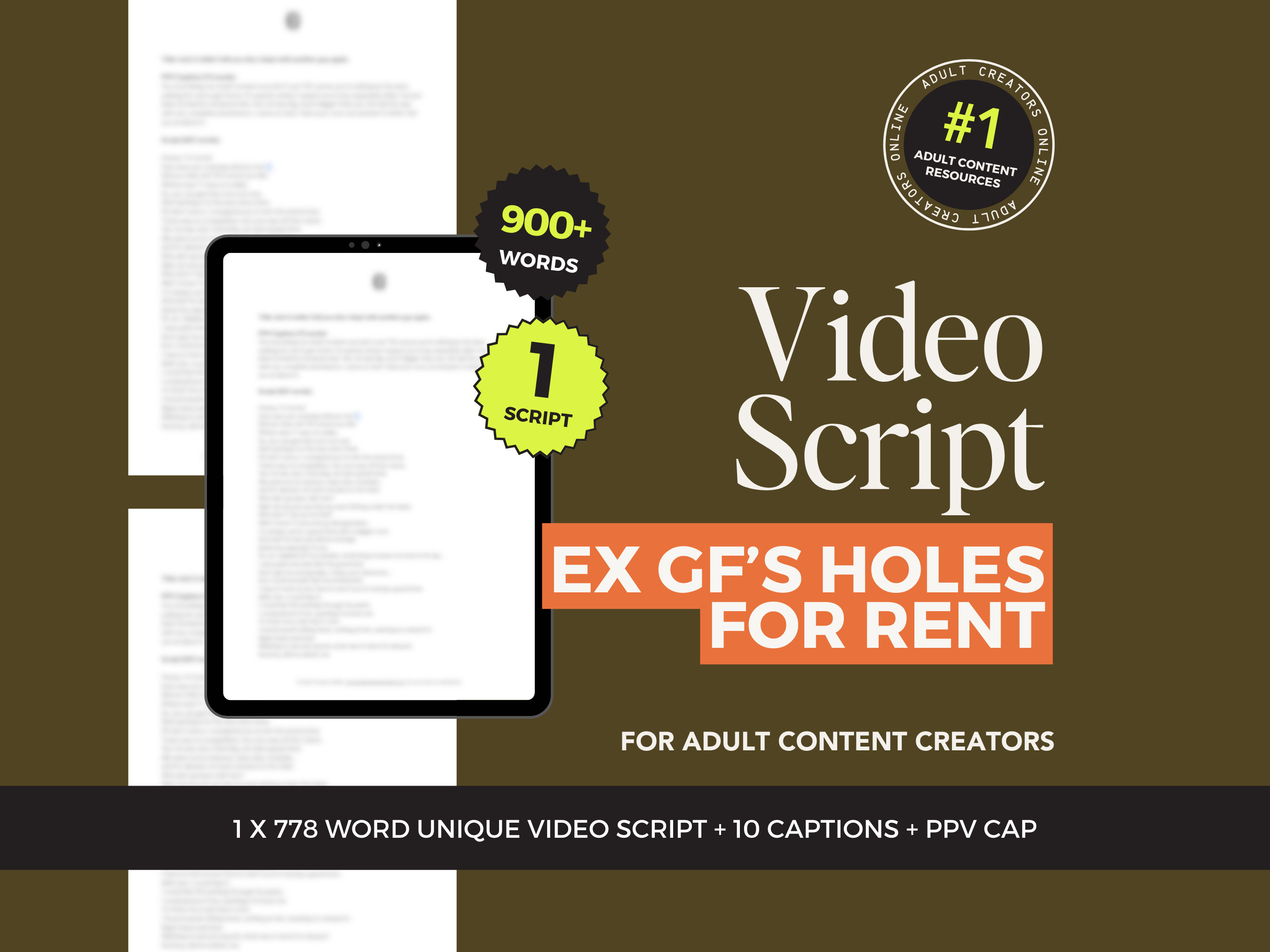 Ex-GF’s Holes for Rent Video Script – OnlyFans, Fansly, Reddit, Snapchat