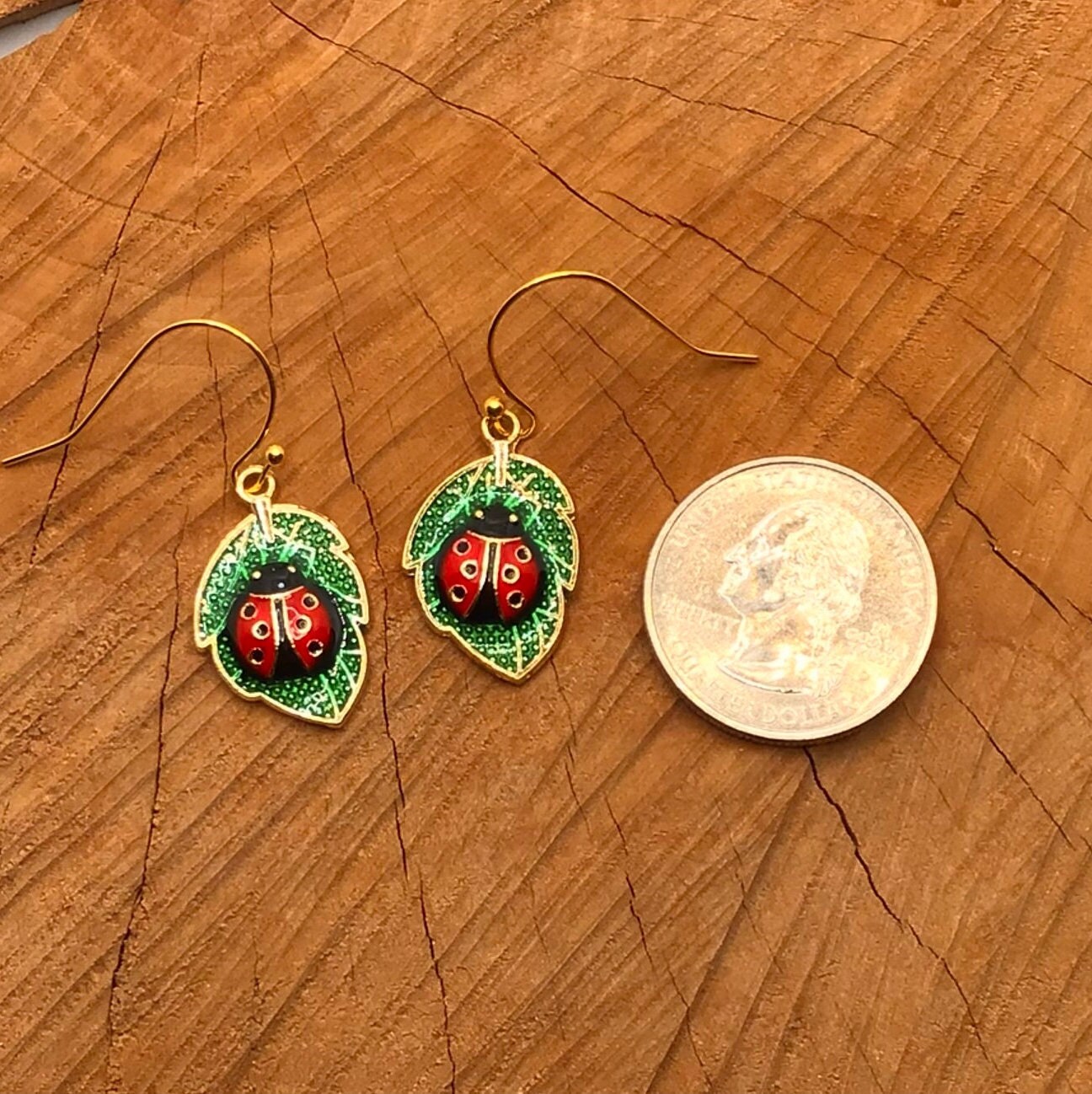 Ladybug Earrings, Ladybug Jewelry, Spring Earrings, Garden Earrings