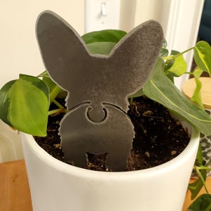 Puppy-Sized Corgi For Planters