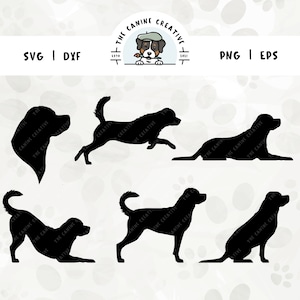 Puede incluir: Cinco imágenes de siluetas negras de perros en varias poses. Los perros están en una postura juguetona, enérgica y relajada. Las imágenes son perfectas para usar en proyectos de manualidades, diseño digital o como una impresión.