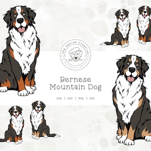 Bernese Mountain Dog SVG Bundle, Berner PNG, Sitting Dog SVG, Pet Portrait, Printable Dog Clipart, Dog Illustration, Cricut Cut File