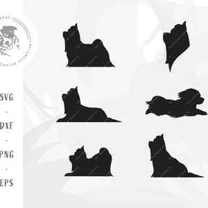 Yorkie SVG Bundle, Show Dog Clipart, Yorkshire Terrier PNG, Dog Breed Silhouette Printable Art, Yorkie Silhouette Vector, Cricut Cut File