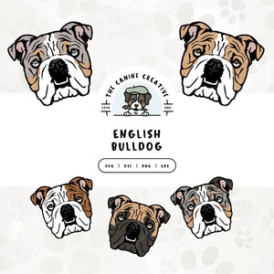 English Bulldog Face SVG, Bulldog Clipart PNG, British Bulldog Cut File, Bull Dog Head Vector, Digital Printable Art, Sublimation Design