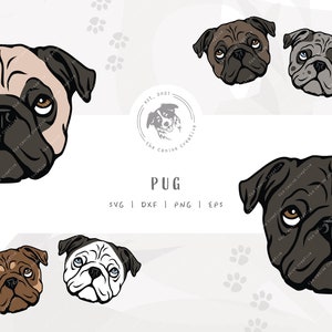 May include: Five different illustrations of pugs in various colors and poses. The pugs are all facing forward with their tongues out. The text "PUG" is written in black letters below the images. The text "SVG | DXF | PNG | EPS" is written in black letters below the word "PUG".