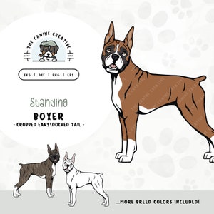 Standing Boxer Dog with Cropped Ears SVG | Cute Puppy Clipart PNG | Printable Pet Illustration | DIY Gift for Dog Lover, Mama, or Dad