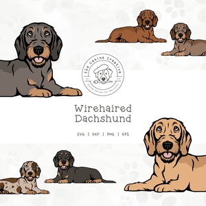 Wirehaired Dachshund SVG, Laying Down Dog Design, Dachshunds Clipart, Doxie Printable, Sausage Dog PNG, Wiener Dog Art, Sublimation Design