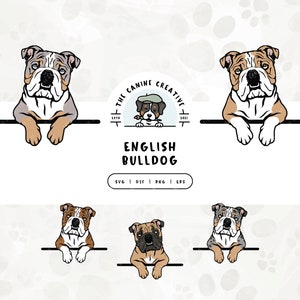 English Bulldog SVG, Bulldog Clipart PNG, Peeking Dog #2 Illustration, British Bulldog Vector, Printable Art, Sublimation Design, Cut File