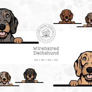 Wirehaired Dachshund SVG, Dachshunds Clipart, Peeking Dog SVG #1, Doxie Printable, Sausage Dog PNG, Wiener Dog Art, Sublimation Design