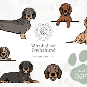 Wirehaired Dachshund SVG, Doxie Face EPS, Standing Sausage Dog PNG, Sitting Wiener Dog Art, Peeking Dog dxf, Laying Down Dog Illustration