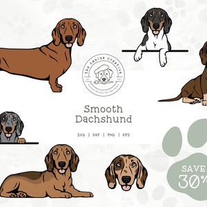 Smooth Dachshund SVG, Doxie Face Printable, Standing Sausage Dog PNG, Sitting Wiener Dog Art, Peeking Dog EPS, Laying Down Dog Illustration