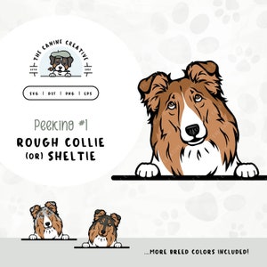 Peeking #1 Rough Collie SVG | Shetland Sheepdog Clipart PNG | Printable Pet Illustration | DIY Gift for Sheltie Dog Lover, Mama, or Dad