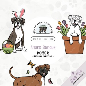 May include: A digital illustration set of three spring-themed Boxer dogs. One dog is wearing bunny ears and holding a basket of Easter eggs. Another dog is sitting in a flower pot with tulips. The third dog is surrounded by butterflies. The text "Spring Bundle Boxer - Natural Ears Tail - Save 20% with this bundle!" is included in the image.