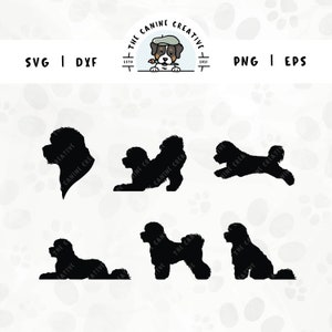 May include: Six black silhouette images of a dog breed, possibly a Sheepadoodle, in different poses. The dog is shown sitting, lying down, and running. The images are set against a white background with a pattern of paw prints.