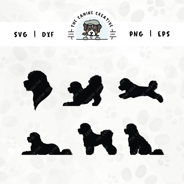 Bichon Frisé SVG Bundle | Tenerife Dog Breed Silhouettes | Puppy Clipart PNG - Portrait, Sitting, Standing, Laying Down, Running, Playing