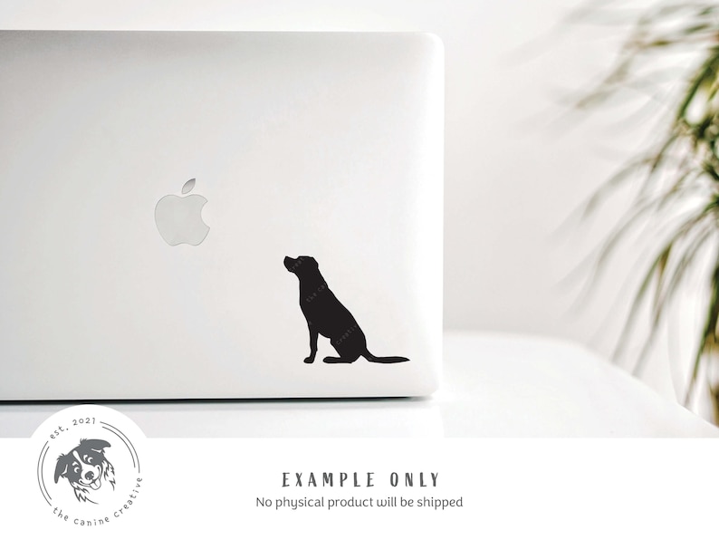 Labrador SVG, Labrador Retriever Silhouette Clipart Bundle, Dog Breed Silhouette PNG, Lab Dog SVG for Cricut, Labrador Vector, Dog Cut File image 7