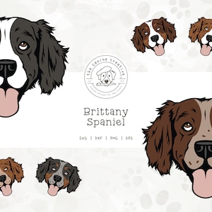 Brittany Dog SVG, Brittany Spaniel Clipart, Dog Face PNG, Printable Dog Art, Hunting Dog Illustration, Cricut Cut File, Layered SVG Design